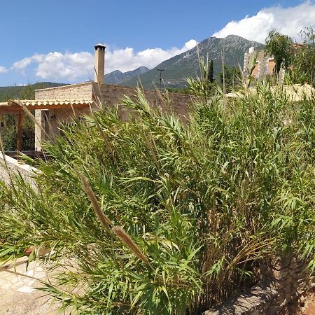 Neohori 1 Neokhorion (Messenia) Exterior foto